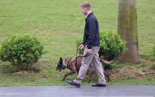 Chó nghiệp vụ Mỹ “rà” mọi ngóc ngách quanh khách sạn JW Marriott