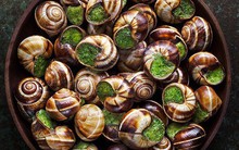 Gordon Ramsay nói Việt Nam ăn bất kì con gì di chuyển, ẩm thực Pháp cũng y hệt như vậy