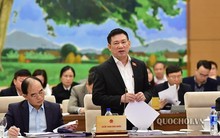 Nhiều phản ứng với đề nghị kiểm toán cả người nộp thuế