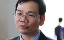 TS Huỳnh Thế Du: 'Có nhiều tập đoàn kiểu tôm + cua + cá'