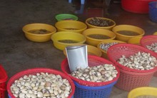 Tiền Giang: Ngao trúng giá nhưng mất mùa