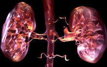 Bác sĩ khuyến cáo: 4 dấu hiệu cần đi khám ngay kẻo suy thận