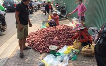 Khoai lang Nhật 10.000 đồng/kg tràn khắp các tuyến phố TP HCM