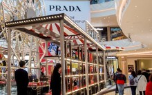 Thương hiệu xa xỉ Prada mất 864 triệu USD trong một ngày vì giới nhà giàu Trung Quốc bớt vung tay chi tiêu