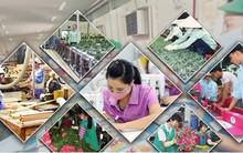 Đến năm 2030, thu nhập người làm nông nghiệp ở Việt Nam tăng 1,5 lần
