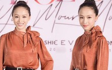 Trương Hồ Phương Nga tái xuất showbiz sau vụ án tình tiền với đại gia Cao Toàn Mỹ