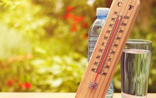 Uống nước thế nào cho đúng: Chuyên gia phân tích loại nước tốt nhất bạn nên uống hàng ngày