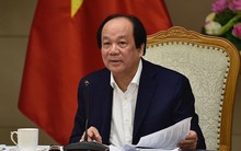 Đề nghị sửa quy định 'lợn không được ăn chuối, thỏ không được ăn cà rốt'