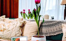 Những trò đùa Cá tháng Tư khiến nhiều người không nhịn được cười của Google