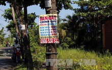 Xử lý rốt ráo tình trạng rao bán đất nền sai quy định tại huyện Củ Chi