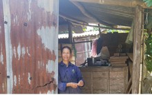 Quảng Nam: “Vàng trắng” rớt giá, nông dân điêu đứng