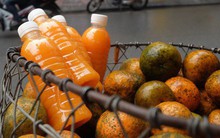 Đổ xô bán nước cam ép nguyên chất giá siêu rẻ, tiểu thương thu tiền triệu mỗi ngày