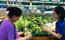 Bao bì lá cây, giấy... trở lại