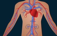 3 thói quen là nguyên nhân dẫn đến bệnh mãn tính: Biến người khỏe thành người có bệnh