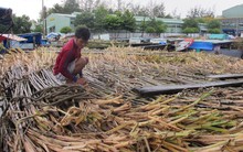 Hàng loạt nhà máy đường nguy cơ phá sản