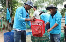 Tôm Việt được giải oan ở Mỹ