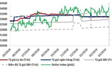 Đường đi nào cho tỷ giá USD/VND quý 2?