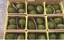 Ùn ứ nông sản không thuộc danh mục xuất khẩu chính ngạch tại Lạng Sơn