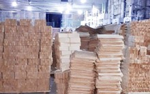 Lo ngại tình trạng giả mạo chứng nhận xuất xứ hàng hóa Việt Nam