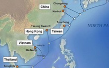 Cáp quang APG đã khôi phục, truy cập internet ổn định trở lại