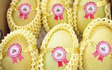 8 tấn xoài đầu tiên của Việt Nam sẽ được xuất sang Mỹ