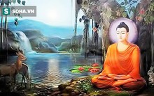 7 quy tắc theo triết lý nhà Phật để sống ung dung tự tại, thành công tự tới