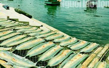 Nam Du đẹp hút hồn những ngày cuối tháng 4