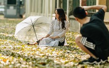 Mùa lá sấu tung bay, người dân kéo tới chụp ảnh ở con đường lãng mạn nhất Thủ đô dù nắng nóng 40 độ C