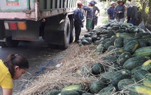 Nông sản xuất sang Trung Quốc phải truy xuất được nguồn gốc