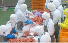 Nhiều doanh nghiệp vẫn loay hoay đứng nhìn “cánh cửa” CPTPP