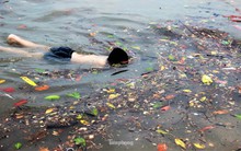 Trẻ ngụp lặn bơi trong rác biển ở Hạ Long