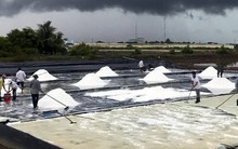 Ngọt ngào mùa muối Bạc Liêu