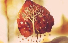 Dùng 10 giây để nói, dùng 10 phút để nghe: Những thủ thuật Đắc Nhân Tâm giúp bạn đi tới đâu được quý nhân soi sáng, vạn người quý mến tới đó