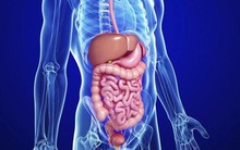 Uống rượu bia thường xuyên: 5 cơ quan nội tạng "bốc hơi" đáng giật mình