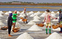 Muối được mùa được giá, diêm dân phấn chấn