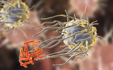 "Thuốc kháng sinh đang ngày càng trở nên vô dụng, nhiều bệnh thông thường cũng sẽ không thể điều trị được"