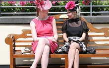 Nghịch lý bất ngờ: Muốn thăng tiến, thành đạt, hãy cho người giàu có và thành công hơn bạn lời khuyên và đây là cách thực hiện!