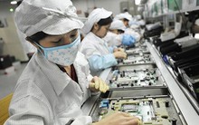 Đề xuất 'đổi giờ làm, không nghỉ bù dịp Tết Âm lịch' gây tranh cãi