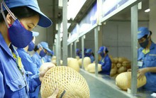 Thành lập Quỹ Phát triển DNNVV, vốn 2.000 tỷ đồng, lãi suất cho vay bằng 80% thị trường