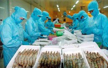 Nhật siết chặt thanh long, tôm, ngò Việt Nam