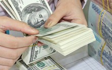 Biến động tỷ giá và “Tái ông thất mã”