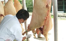 Đồng Nai kêu gọi doanh nghiệp cấp đông thịt heo