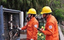 Thanh tra Chính phủ công bố quyết định kiểm tra việc tăng giá điện