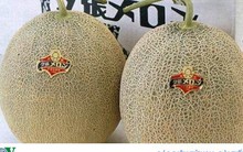 Cặp dưa lưới Nhật Bản được bán bằng giá một chiếc ô tô hạng sang