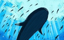 Hướng nội hay hướng ngoại không phải vấn đề, quan trọng là bạn có hiểu bản thân không: Hãy là một con cá mạnh nhất chứ đừng thoi thóp "chạy đua" trên cạn với động vật 4 chân