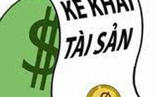 TP HCM không có trường hợp vi phạm về kê khai tài sản, thu nhập trong năm 2018