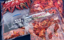 Thực hư về hàng chục tấn tôm hùm đất đông lạnh tuồn vào Việt Nam