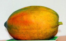 Đu đủ ở Việt Nam rẻ như cho, hàng nhập ngoại cả triệu đồng/quả