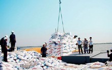 Loại hàng loạt đơn vị “gác” chất lượng phân bón nhập khẩu vì... có vấn đề
