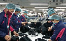 Hơn 54 nghìn lao động đi làm việc ở nước ngoài trong 5 tháng đầu năm 2019